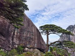 K线之王：黄金和原油多空交织（震荡）